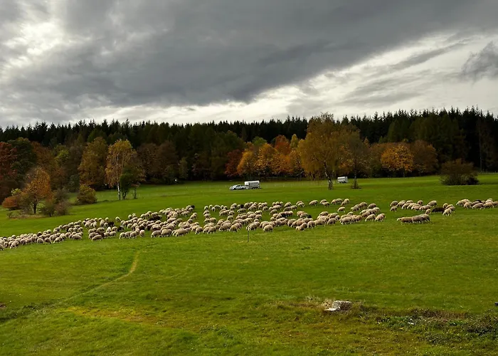 Ferienwohnung Zum Loesershag Rhoen